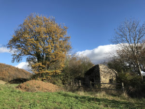 Poleymieux-au-Mont-d'Or